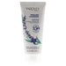 Yardley English Lavender Hand & Nail Cream 100ml - Hand Cream at MyPerfumeShop by Yardley