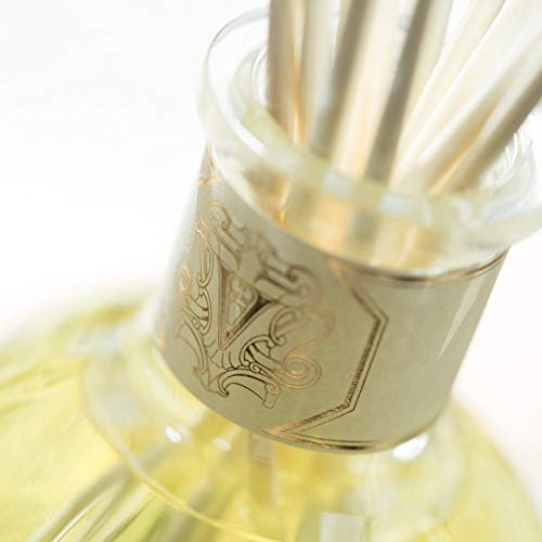 Dr. Vranjes Firenze Ginger Lime Diffuser 250ml - Diffuser at MyPerfumeShop by Dr. Vranjes Firenze