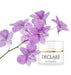 Declaré Skin Meditation Soothing & Balancing Cream 50ml - Skincare at MyPerfumeShop by Declaré