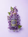 4711 floral collection lilac eau de cologne spray 100ml - Perfume & Cologne at MyPerfumeShop by 4711