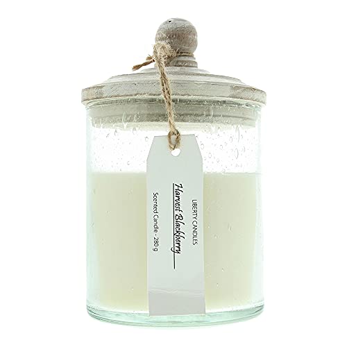 LIBERTY CANDLES Scented Candle Inspiration Collection 10oz Harvest Berry Bubble Glass Jar White Soy Wax Blend Candle - Candles at MyPerfumeShop by Liberty Candle