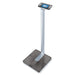 Beurer BF1000 Super Precision Scale - Digital Bathroom Scales at MyPerfumeShop by Beurer