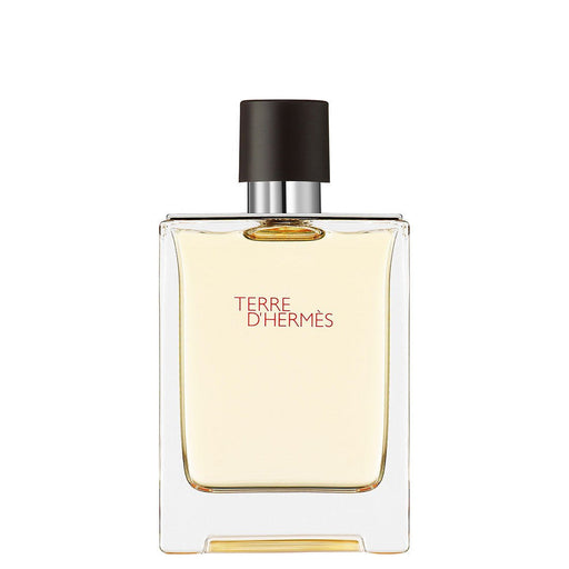 Hermès Terre D'hermès H Bottle Limited Edition Eau De Toilette 100ml - Eau De Toilette at MyPerfumeShop by Hermès