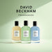 David Beckham Aromatic Greens Eau de Parfum 100ml Spray - Fragrance at MyPerfumeShop by David & Victoria Beckham