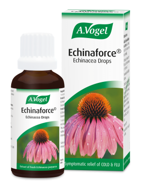 A Vogel Coughs Colds & Flu Oral Drops Echinaforce - 50ml - Immune Support at MyPerfumeShop by A.Vogel