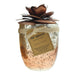 Bali Mantra Camellia Glass Copper Candle 500g - French Vanilla - Candle at MyPerfumeShop by Bali Mantra