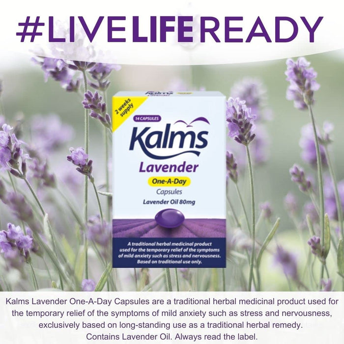 Kalms Lavender 14 Capsules - Stress Relief at MyPerfumeShop by Kalms