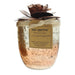 Bali Mantra Camellia Glass Copper Candle 500g - Peach Grapefruit - Candle at MyPerfumeShop by Bali Mantra