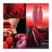 Colour Me Red Gift Set 50ml PDT Spray + 10ml Roll-on Perfume - Eau de Perfume at MyPerfumeShop by Colour Me