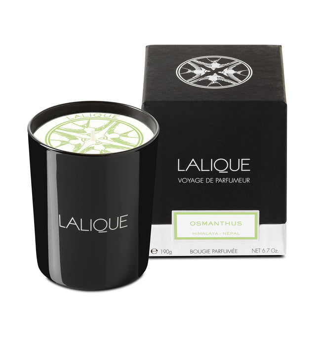 Lalique Osmanthus Himalaya Nepal Candle 190g - Candle Sets at MyPerfumeShop by Lalique