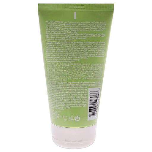 Origins A Perfect World Antioxidant Cleanser With White Tea 150ml - Gels & Foams at MyPerfumeShop by Origins