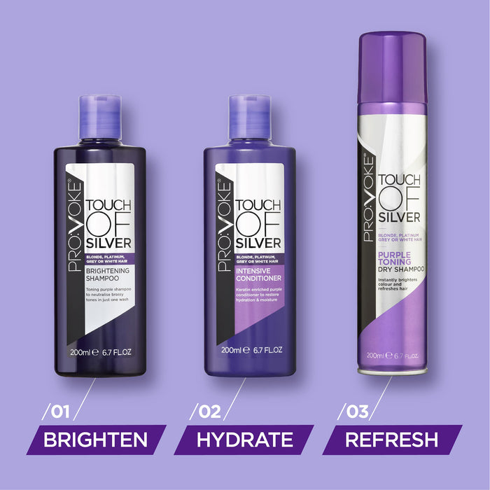 Touch Of Silver Intensive Treatment Conditioner - 150ml - Conditioners at MyPerfumeShop by Provoke