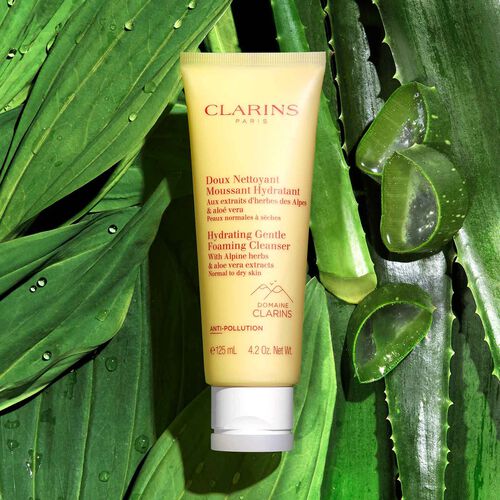 Clarins Hydrating Gentle Foaming Cleanser 125ml - Skincare at MyPerfumeShop by Clarins