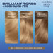 Nice & Easy Care Colour Medium Honey Blonde 8G - Colourants at MyPerfumeShop by Clairol