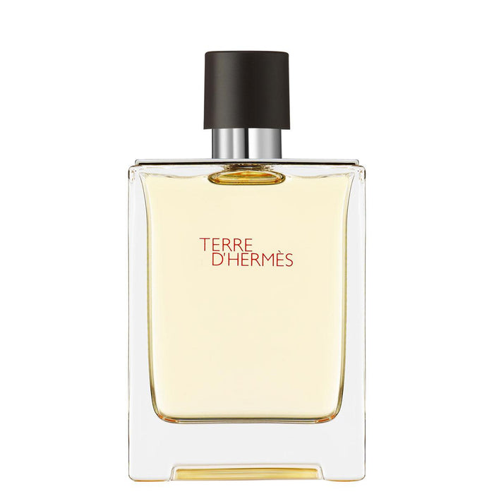 Hermès Terre d'Hermès Eau de Toilette 100ml