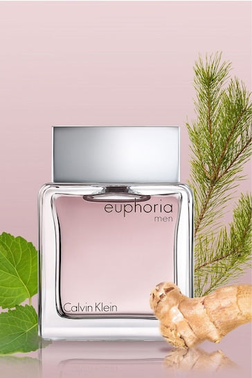 Calvin Klein Euphoria Eau de Toilette 30ml - Fragrance at MyPerfumeShop by Calvin Klein