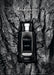 Baldessarini Black Eau de Toilette 75ml - Perfume & Cologne at MyPerfumeShop by Baldessarini