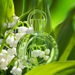 Muguet Du Bonheur Caron Eau De Toilette 30ml - Eau De Toilette at MyPerfumeShop by Caron